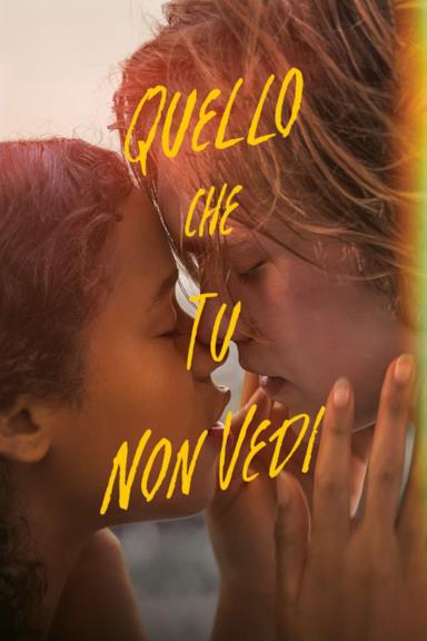 Poster Quello che tu non vedi