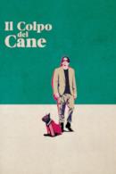 Poster Il colpo del cane