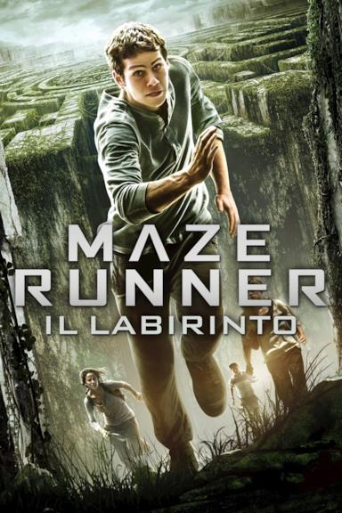 Poster Maze Runner - Il labirinto