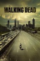 Poster The Walking Dead