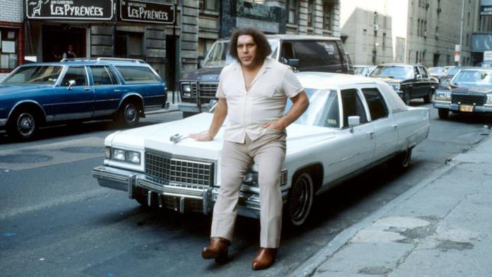 Il wrestler André the Giant André the Giant