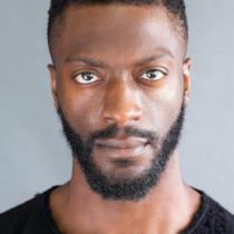 Aldis Hodge