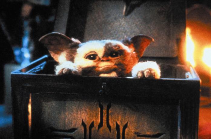 Gizmo in Gremlins