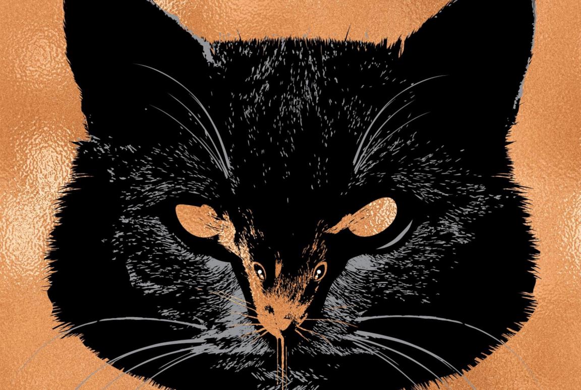 Il gatto della cover del libro di King