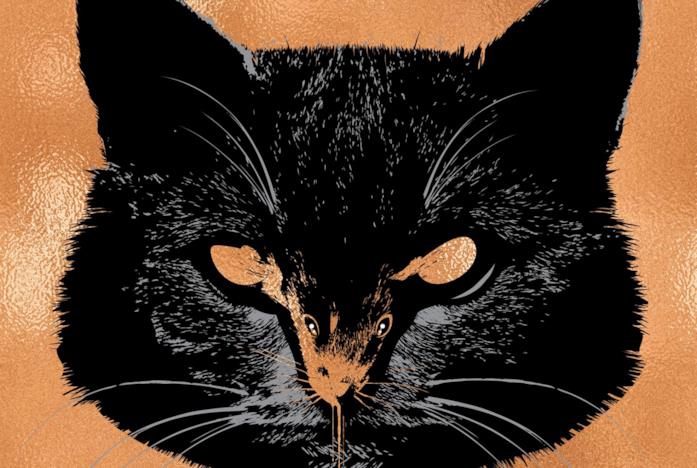 Il gatto della cover del libro di King