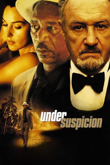 Poster Under Suspicion