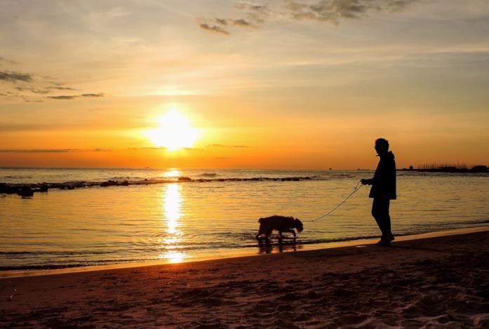 Il Lido di Ostia Padrone e cane a passeggio lungo il Lido di Ostia