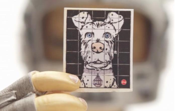 Il cane di Atari Una foto del cane di Atari