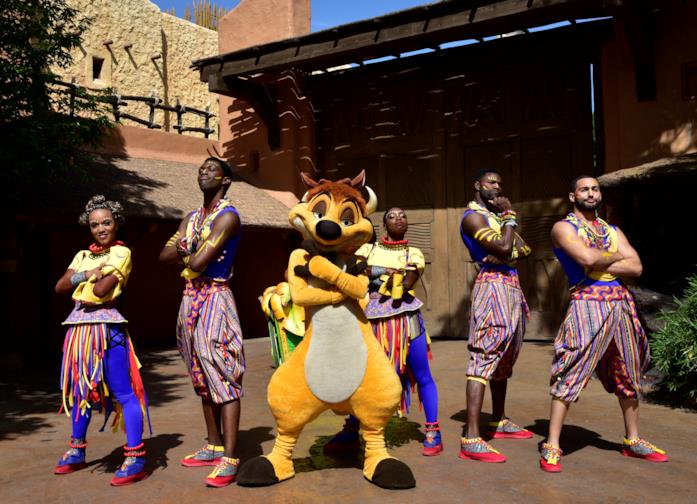 La MataDance di Timon Il suricato Timon