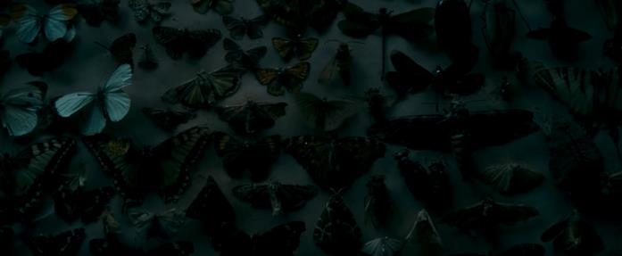 Le farfalle in Nessuno ne uscirà vivo Un quadro di farfalle