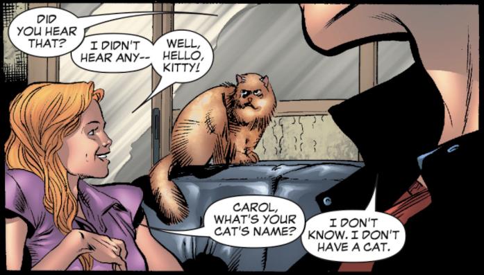 Chewie nell'appartamento di Carol Danvers Il gatto nell'appartamento di Carol Danvers