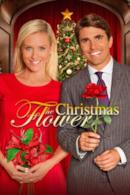 Poster The Christmas Flower