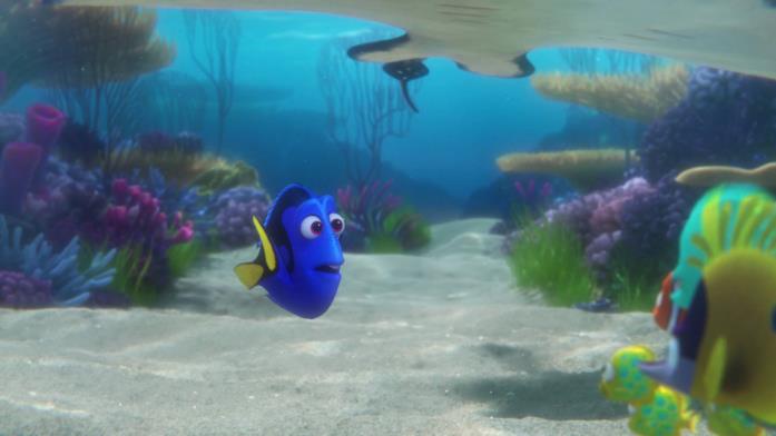 Pesce Dory Dory