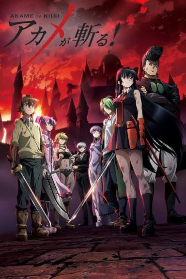 Poster Akame ga Kill!