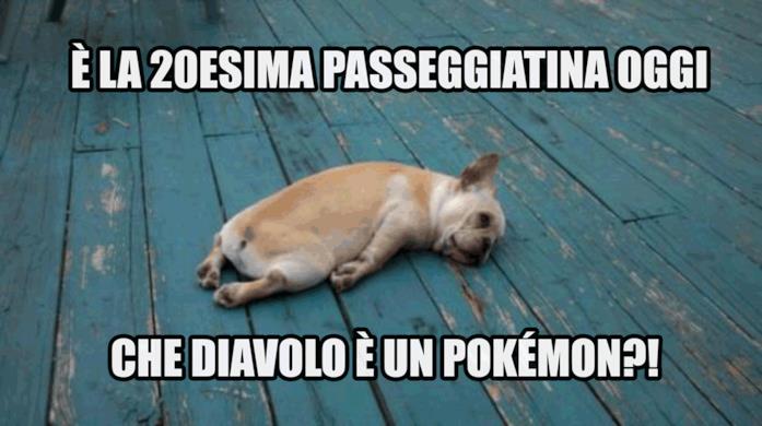 Effetti negativi di Pokémon GO Le troppe passeggiatine causa Pokémon GO sfiniscono un povero cagnolino