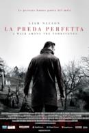 Poster La preda perfetta - A Walk Among the Tombstones