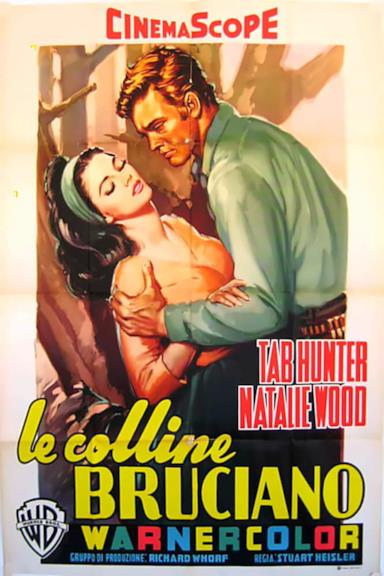 Poster Le colline bruciano