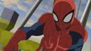 Anteprima Spider-Man è un Avenger