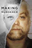 Poster Making a Murderer