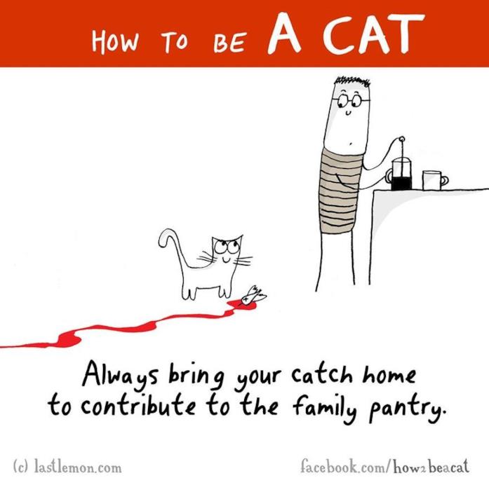Vignetta gatto che porta la preda Vignetta umoristica di un gatto che porta la sua preda al padrone
