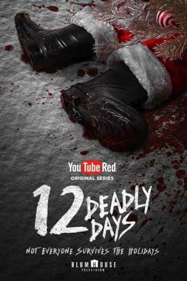 Poster 12 Deadly Days