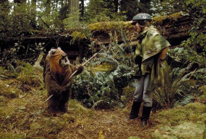 Warwick Davis vestirà ancora i panni di Willow L'Ewok di Star Wars