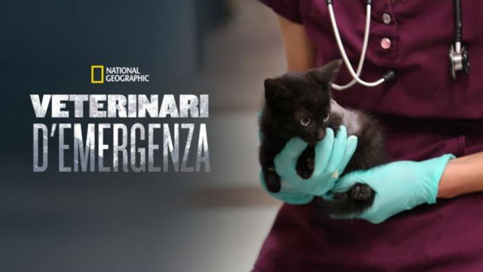 Veterinari d'emergenza Veterinari d'emergenza