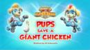 Anteprima I Super Cuccioli: I cuccioli salvano una gallina gigante