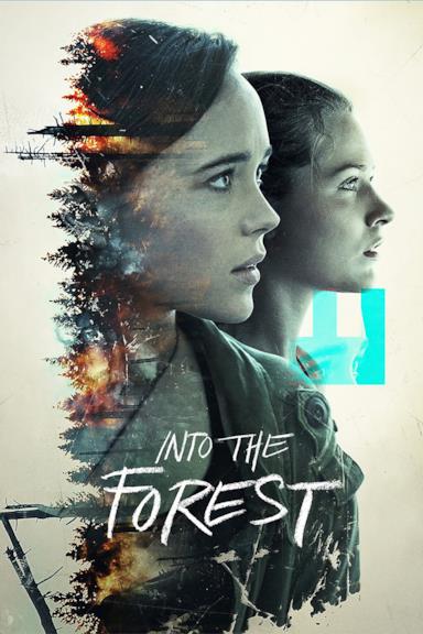 Poster Into the Forest
