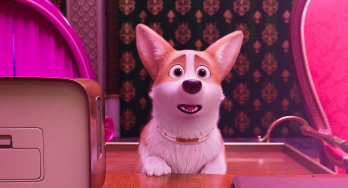 REX - Un cucciolo a palazzo, scena REX - Un cucciolo a palazzo