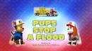 Anteprima Big Truck Pups: I cuccioli fermano l'acqua