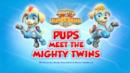 Anteprima I Super Cuccioli: I cuccioli incontrano i super-gemelli