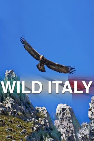 Poster Wild Italy