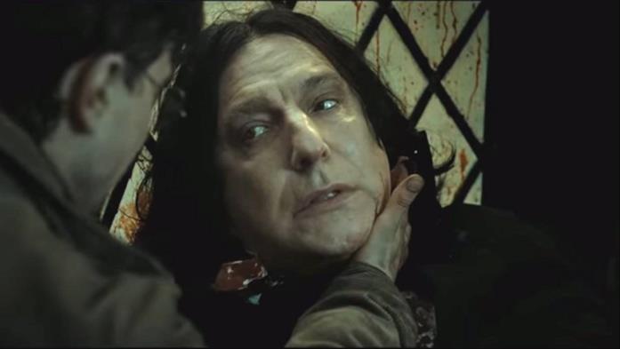 Chi Ha Ucciso I Genitori Di Harry Potter