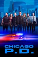 Poster Chicago P.D.