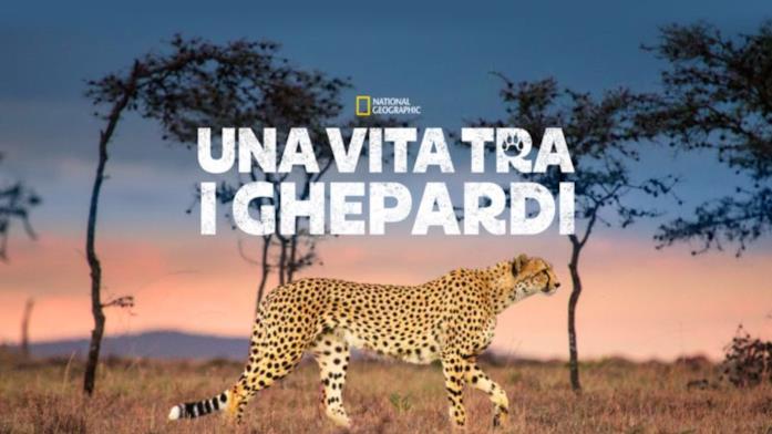 Una vita tra i ghepardi Una vita tra i ghepardi