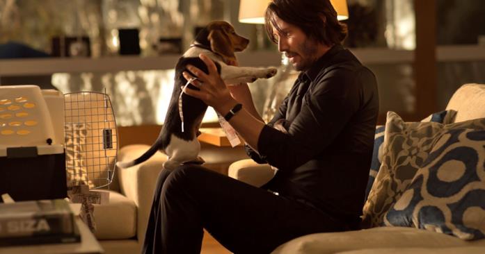 John Wick e la sua cagnolina John Wick coccola la sua cagnolina
