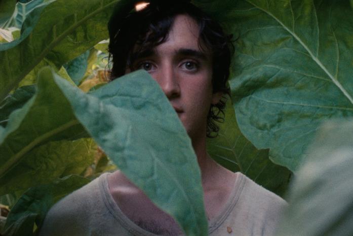Lazzaro Felice Una scena di Lazzaro Felice