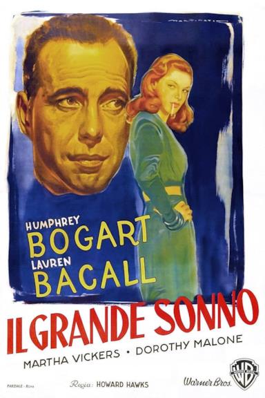 Poster Il grande sonno