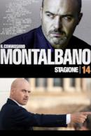 Stagione 14
