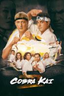 Poster Cobra Kai