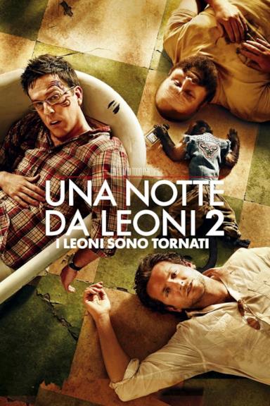 Poster Una notte da leoni 2