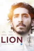 Poster Lion - La strada verso casa