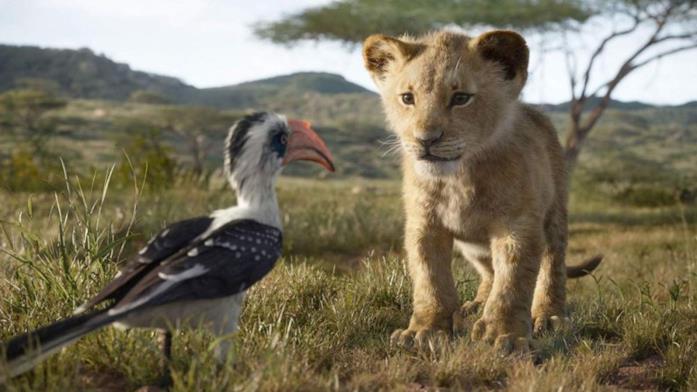 Simba in Il Re Leone (2019) Simba e Zazu in una scena de Il Re Leone (2019)