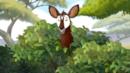 Anteprima L'okapi immaginario