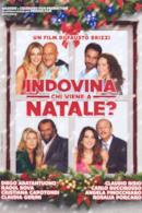 Poster Indovina chi viene a Natale?