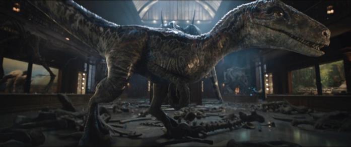 Blue in Jurassic World - Il regno distrutto Un'immagine di Blue in una scena de Il regno distrutto