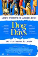 Poster Dog Days