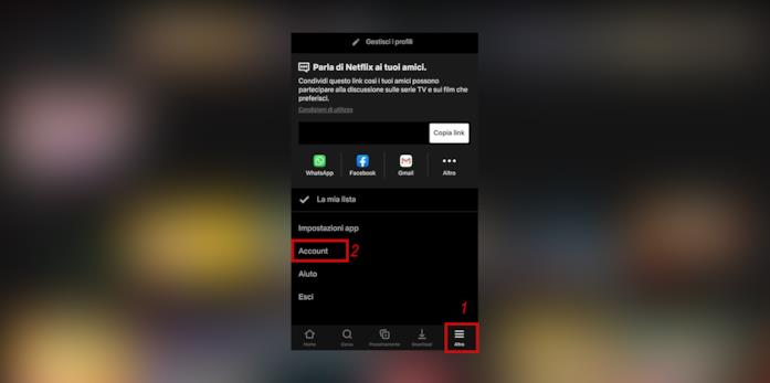 Netflix, smartphone: account Netflix, smartphone: account