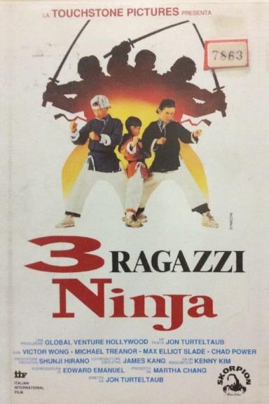 Poster 3 ragazzi ninja